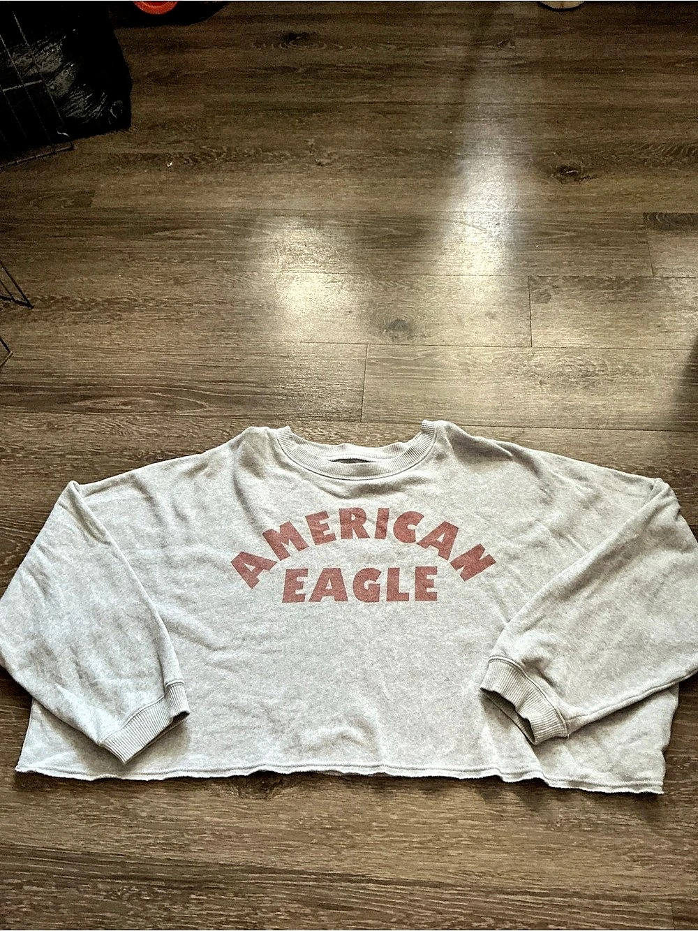 American Eagle Graphic Sweatshirt Size